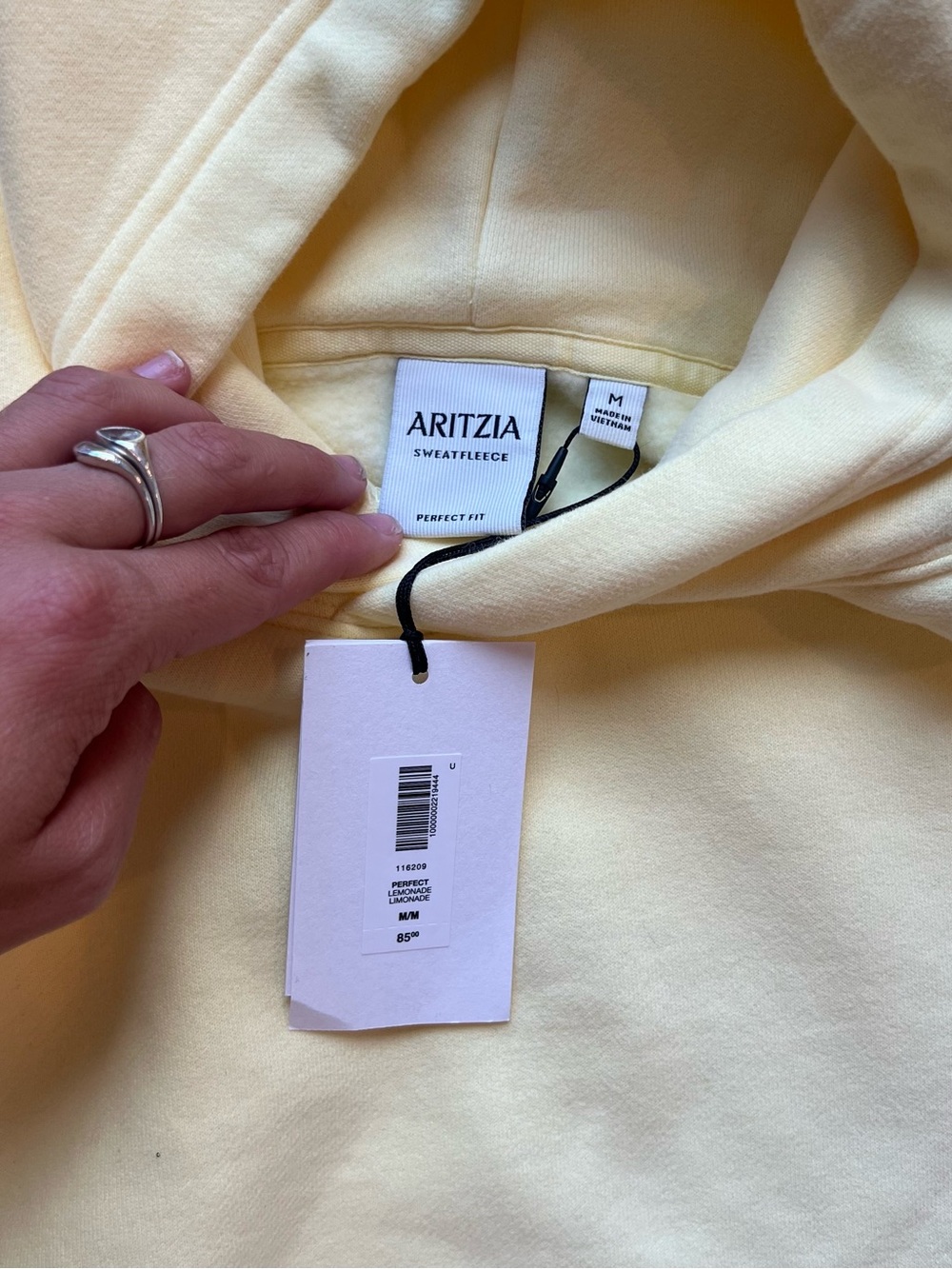 NWT Aritzia Cozy Sweatfleece Perfect Hoodie - Picture 4 of 5